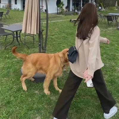 忍者小英雄3
